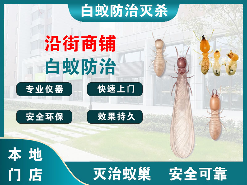 新吴区沿街商铺白蚁防治
