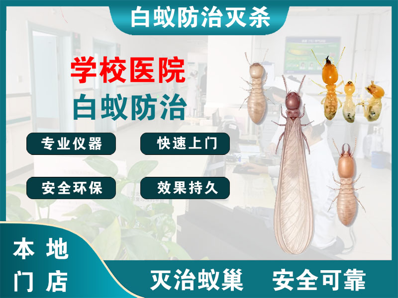 新吴区学校医院白蚁防治