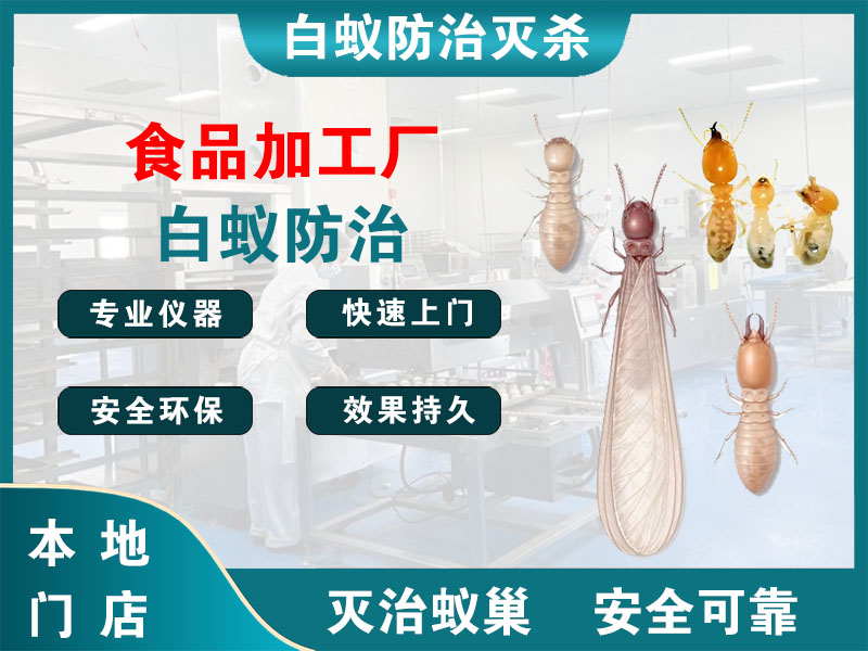 新吴区食品加工厂白蚁防治