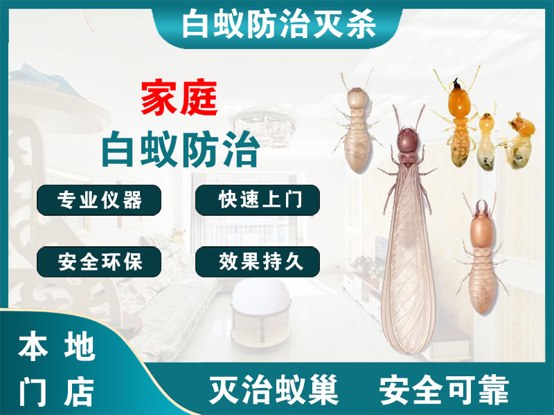 新吴区家庭白蚁防治