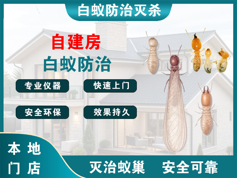 新吴区自建房白蚁防治