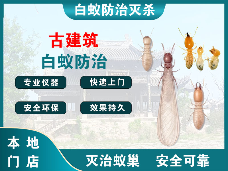 新吴区古建筑白蚁防治