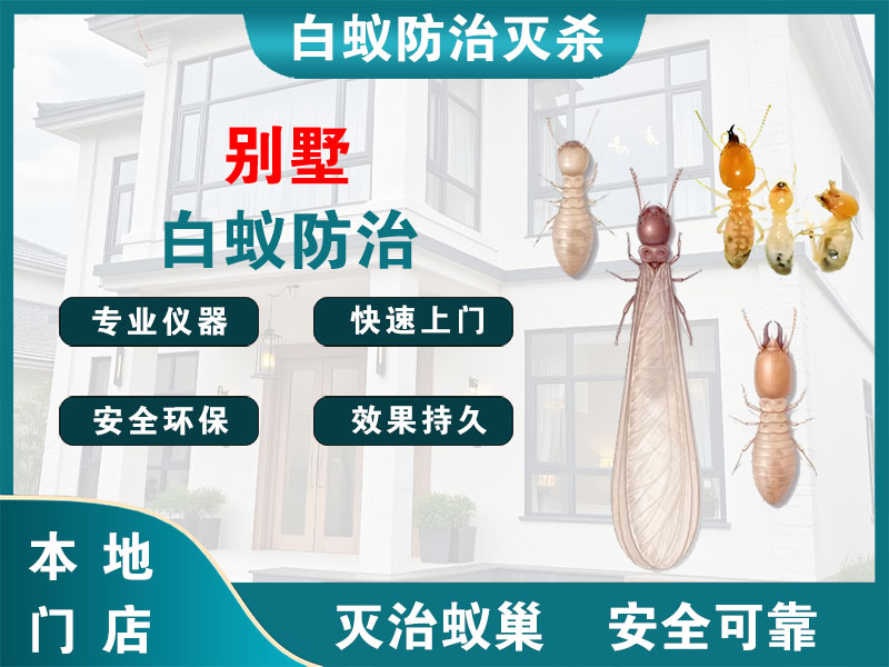 新吴区别墅白蚁防治