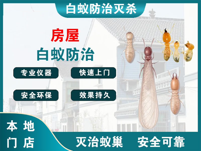 新吴区房屋白蚁防治